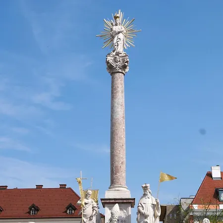 Ea-modernes Naehe Hauptplatz Appartamento Wiener Neustadt