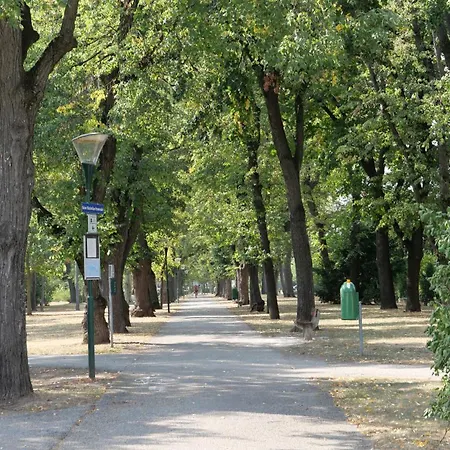 Ea-modernes Naehe Hauptplatz * Vídeňské Nové Město
